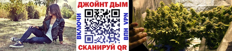 закладка  Дмитровск  Бошки марихуана планчик 